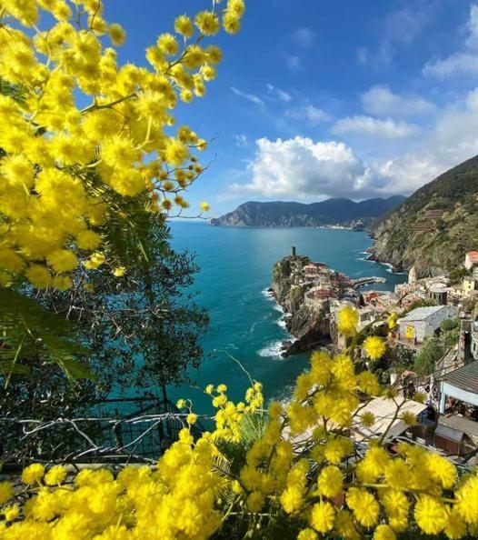 Appartamento Linda A Pochi Passi Dal Mare - 011030-Lt-0357 Vernazza Exterior foto